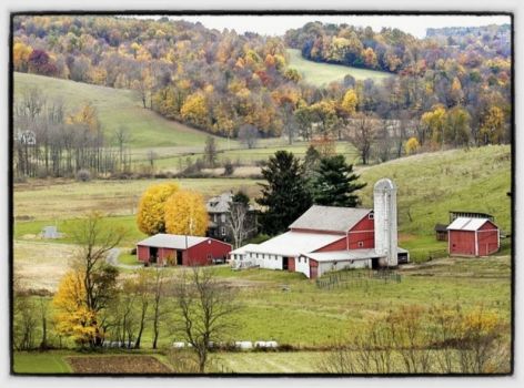 Amish Farm