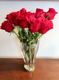 Roses from Bob