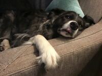 Nap time