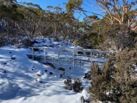 Snow bridge Mt Field National Park Tasmania