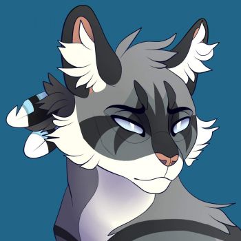 Jayfeather (Warrior Cats)