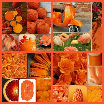 Solve ☺ ALL THINGS ORANGE ☺ jigsaw puzzle online with 100 pieces