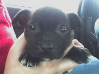 Annie 3 days old