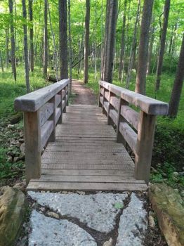 new trail bridge