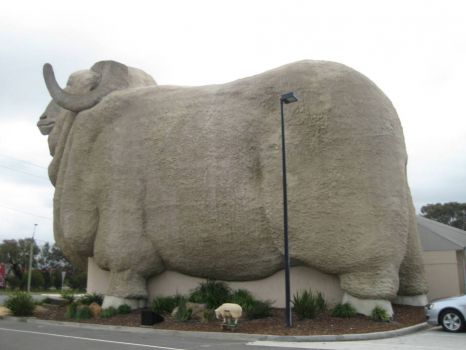 Big Ram at Goulburn Australia.