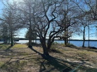 Pretty day at the lake 2023