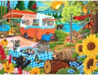 Cool Campers