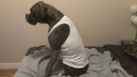 Ruger Rell!!!!