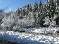 Irresistible wintertale landscapes - Pišnica valley, Slovenia