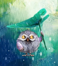 little owl in the rain (resize 9 to 600)