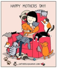 Happy Mothers Day Cat Moms