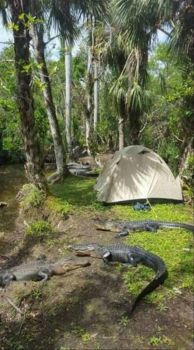 AG Camping.