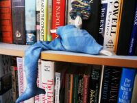 Mermaid just "cooling" it in one of my bookcases