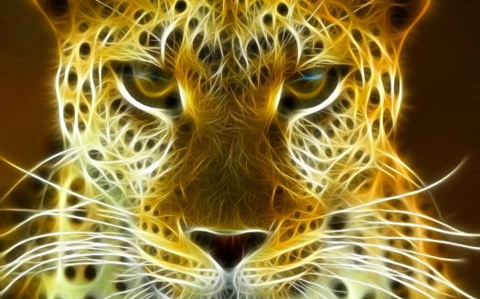 Leopard 3D Wallpapers 2