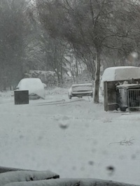 snow 2
