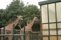 zoo vienna