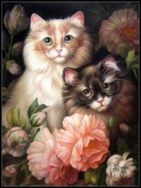 Cats in Bloom