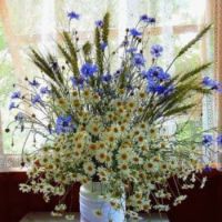 Bouquet des Champs Bleu et Blanc ...