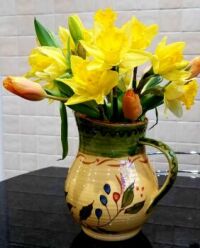 Daffs & Tulipsw in a Jug (3)