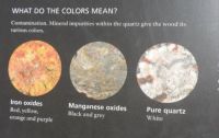 Petrified forest explanation of the mineral colors
