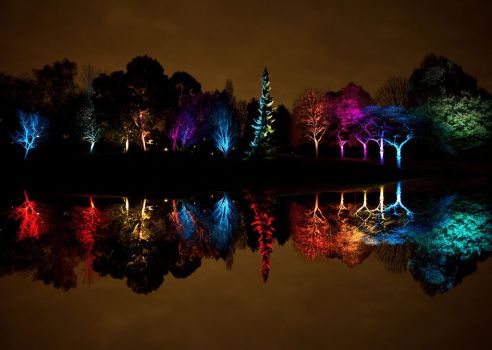 Syon Park, London