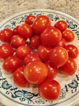 Fresh Tomatoes  IMG_20220421_072054