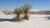 White Sands, Nové Mexiko