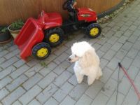 Traktor