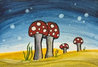 Amanita XL