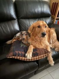 Zippy and Neville