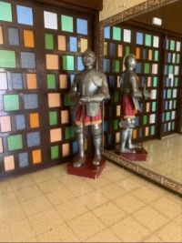 Knight and shining armour