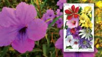 Commemorative Stamps 1