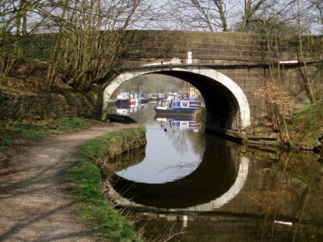 Canal at Adlington (2)