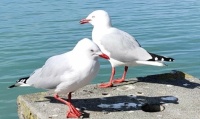 IMG_20220830_131810__01__01__01__01