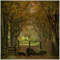 Autumn_Lane