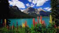 Amazing Landscapes (21)