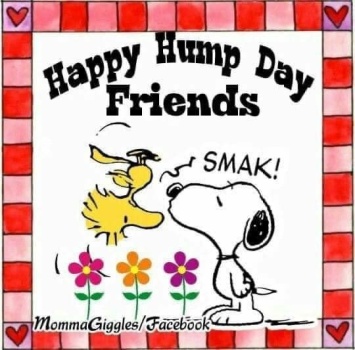 Happy Wednesday 