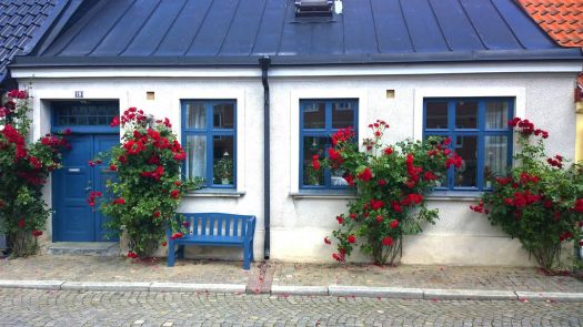 Cottage and roses in Ystad, Sweden, photo by Erik Mörner