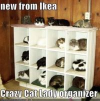Cats not included....