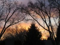 EVENING SKY