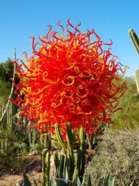 Botanical Gardens - Phoenix (smaller)
