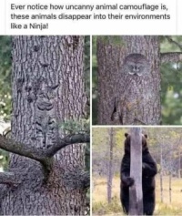 What's in that third pic? Please help, I don't see anyone.