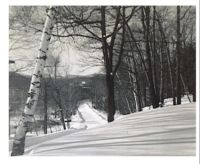 Looking down the "back hill" where I grew up