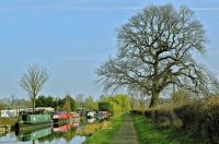 A cruise along the Shropshire Union Canal (376)