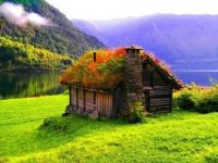 sod roofed house