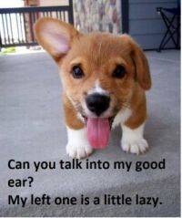 Lazy ear