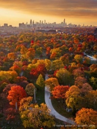 Chicago autumn