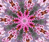Kaleidoskop