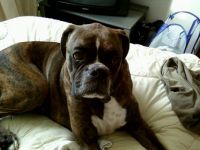 ruger rell in bed!