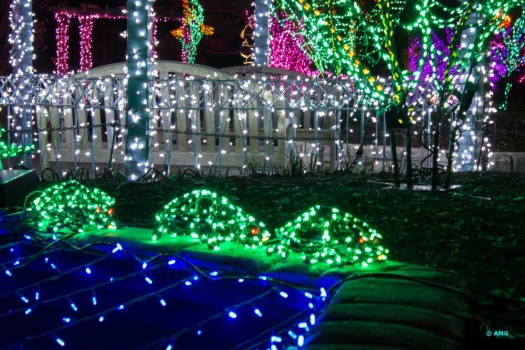 Brookside Gardens At Christmas
